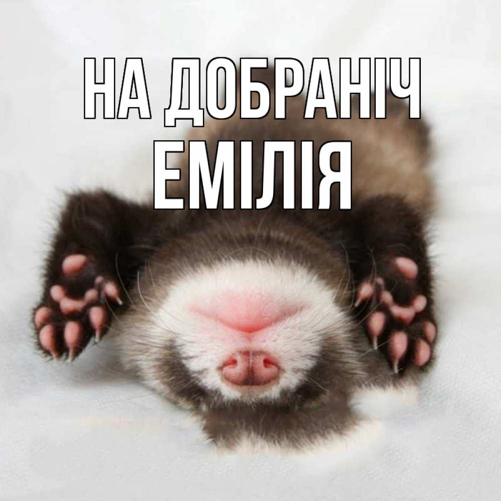 Открытка на каждый день з підписом, Емілія На добраніч зверек Прикольна листівка з побажанням онлайн скачати безкоштовно 