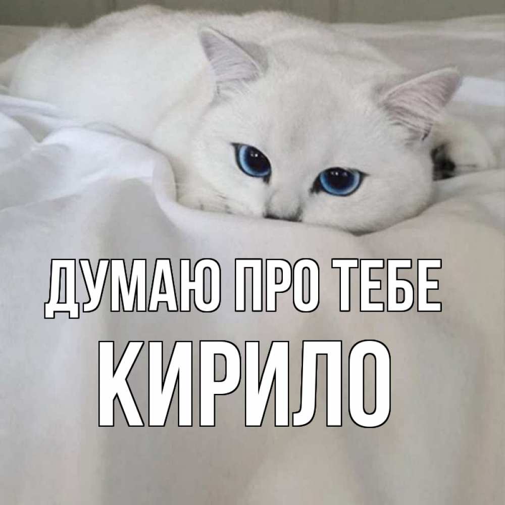 Открытка на каждый день з підписом, Кирило Думаю про тебе я очень по тебе скучаю и тоскую Прикольна листівка з побажанням онлайн скачати безкоштовно 