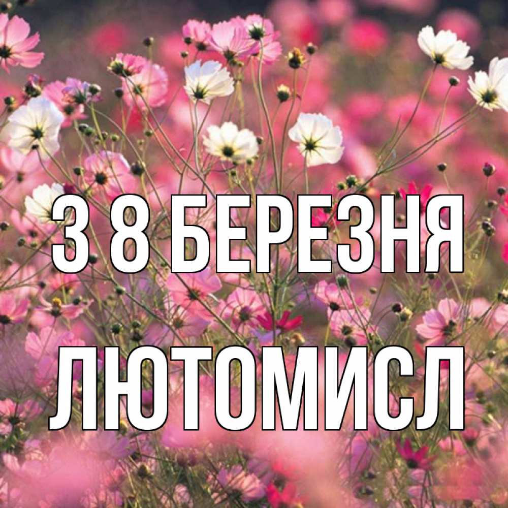 Открытка на каждый день з підписом, Лютомисл З 8 БЕРЕЗНЯ красиво 1 Прикольна листівка з побажанням онлайн скачати безкоштовно 