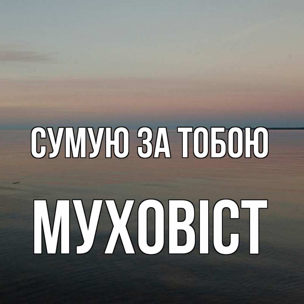 Открытка на каждый день з підписом, Муховіст Сумую за тобою пусто Прикольна листівка з побажанням онлайн скачати безкоштовно 