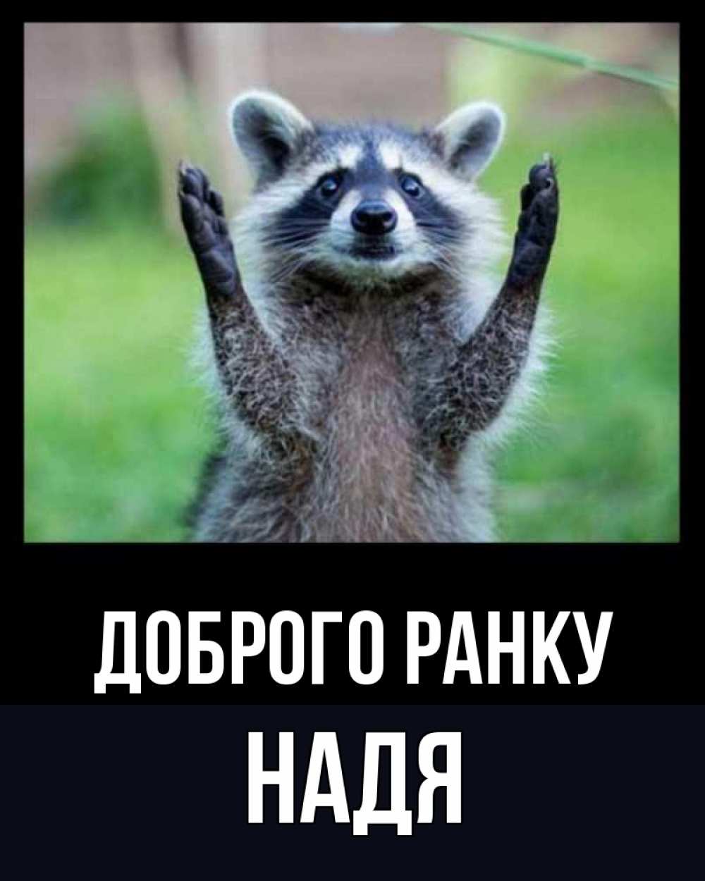 Открытка на каждый день з підписом, Надя Доброго ранку хорошее настроение утречком Прикольна листівка з побажанням онлайн скачати безкоштовно 