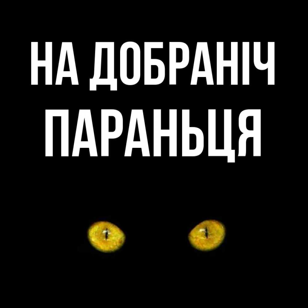 Открытка на каждый день з підписом, Параньця На добраніч сладких снов бесстрашный мой дружочек Прикольна листівка з побажанням онлайн скачати безкоштовно 