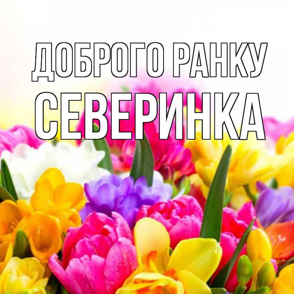 Открытка на каждый день з підписом, Северинка Доброго ранку создать открытку со свое подписью Прикольна листівка з побажанням онлайн скачати безкоштовно 