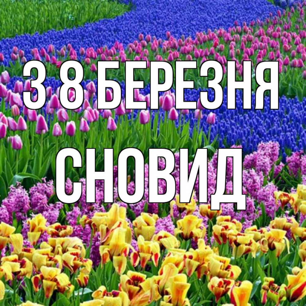Открытка на каждый день з підписом, Сновид З 8 БЕРЕЗНЯ цветы Прикольна листівка з побажанням онлайн скачати безкоштовно 