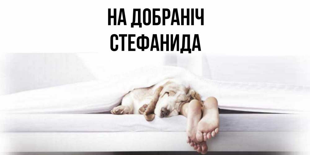Открытка на каждый день з підписом, Стефанида На добраніч кровать с собакой пожелание сладких снов и спокойной ночи Прикольна листівка з побажанням онлайн скачати безкоштовно 