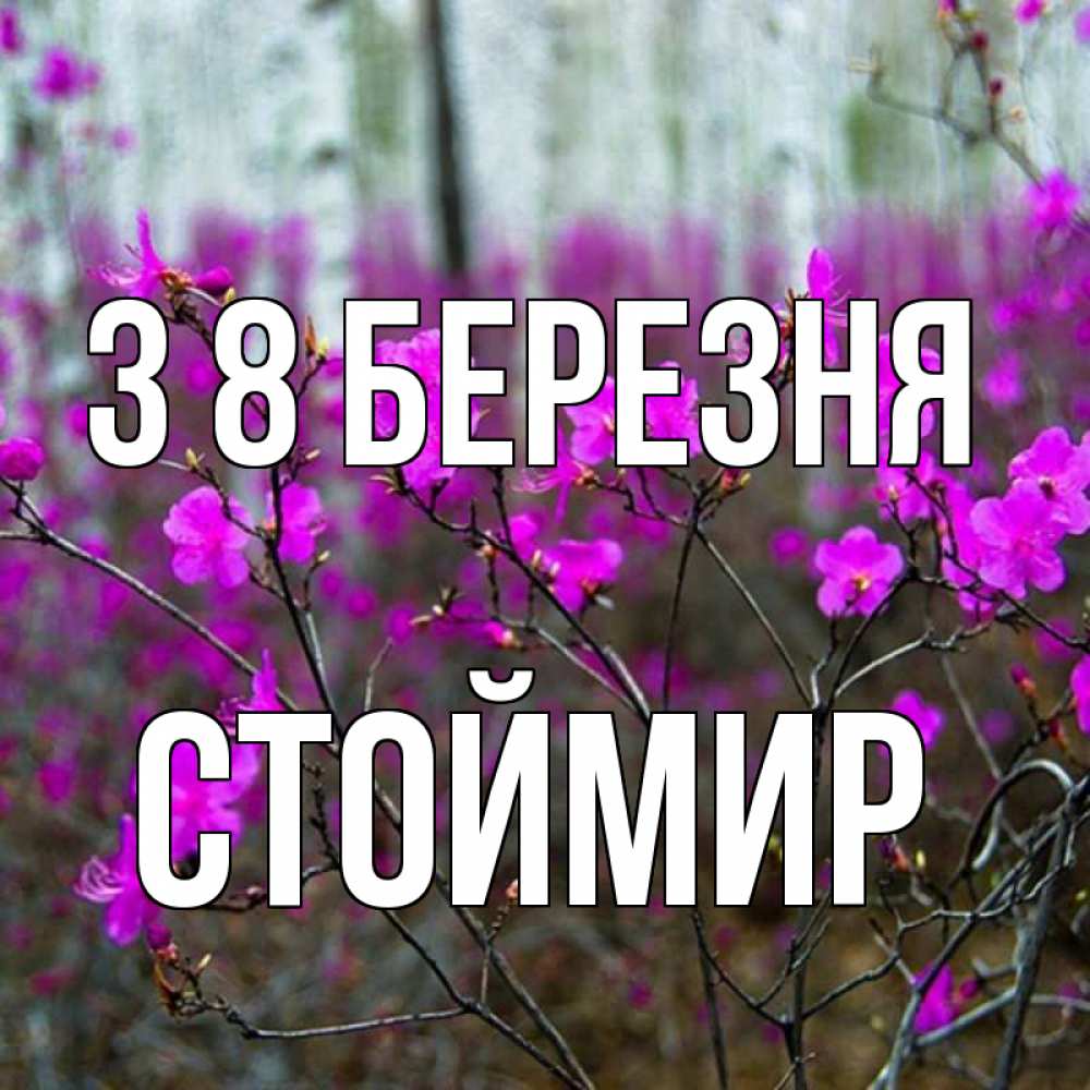 Открытка на каждый день з підписом, Стоймир З 8 БЕРЕЗНЯ дикие цветы Прикольна листівка з побажанням онлайн скачати безкоштовно 