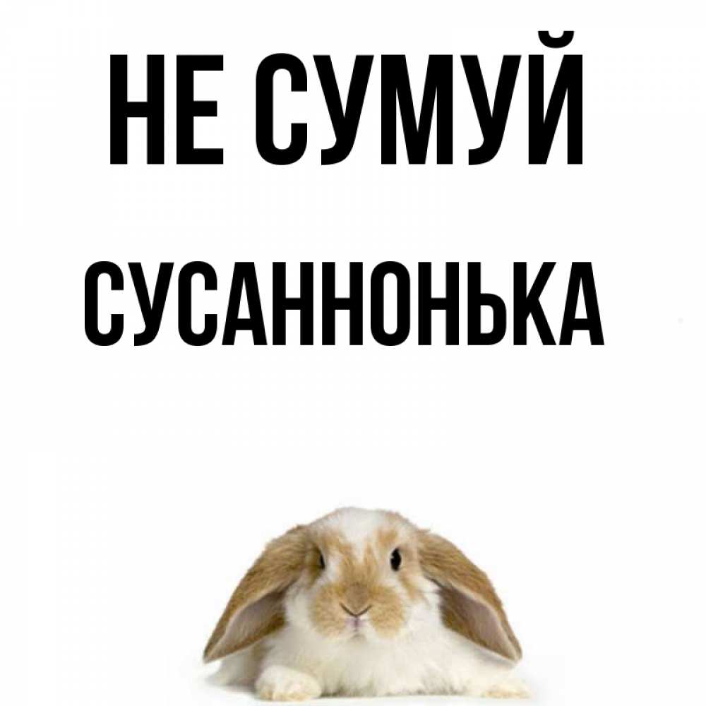 Открытка на каждый день з підписом, Сусаннонька Не сумуй коричнево белый заяц с большими ушками Прикольна листівка з побажанням онлайн скачати безкоштовно 
