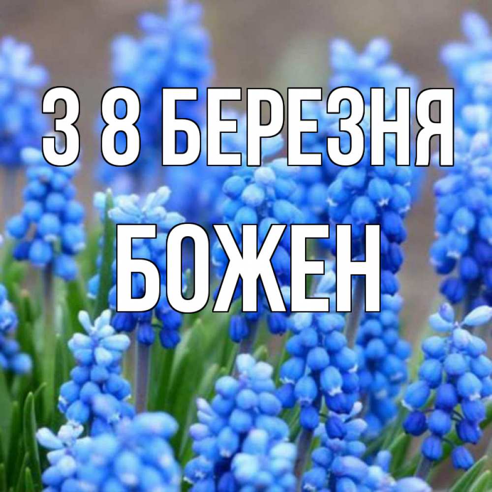 Открытка на каждый день з підписом, Божен З 8 БЕРЕЗНЯ Поздравительная открытка для женщин с цветами на праздничную дату Прикольна листівка з побажанням онлайн скачати безкоштовно 