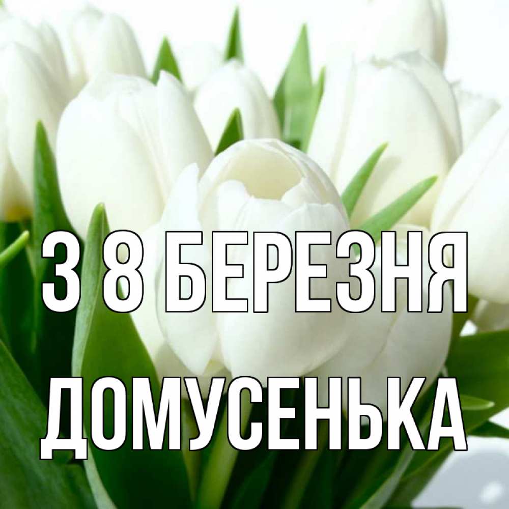 Открытка на каждый день з підписом, Домусенька З 8 БЕРЕЗНЯ цветы Прикольна листівка з побажанням онлайн скачати безкоштовно 