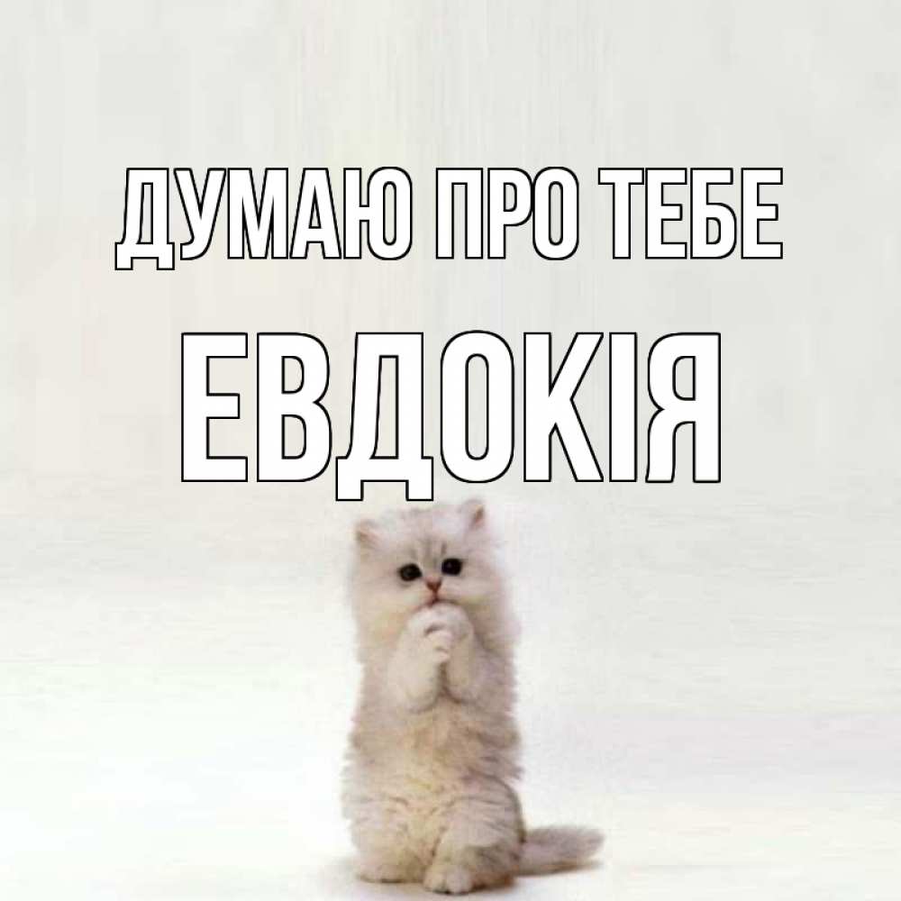 Открытка на каждый день з підписом, Евдокія Думаю про тебе кот стоит на задних лапах Прикольна листівка з побажанням онлайн скачати безкоштовно 