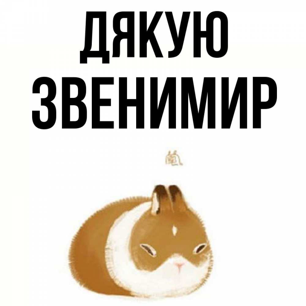 Открытка на каждый день з підписом, Звенимир Дякую коричнево белый домашний питомец Прикольна листівка з побажанням онлайн скачати безкоштовно 