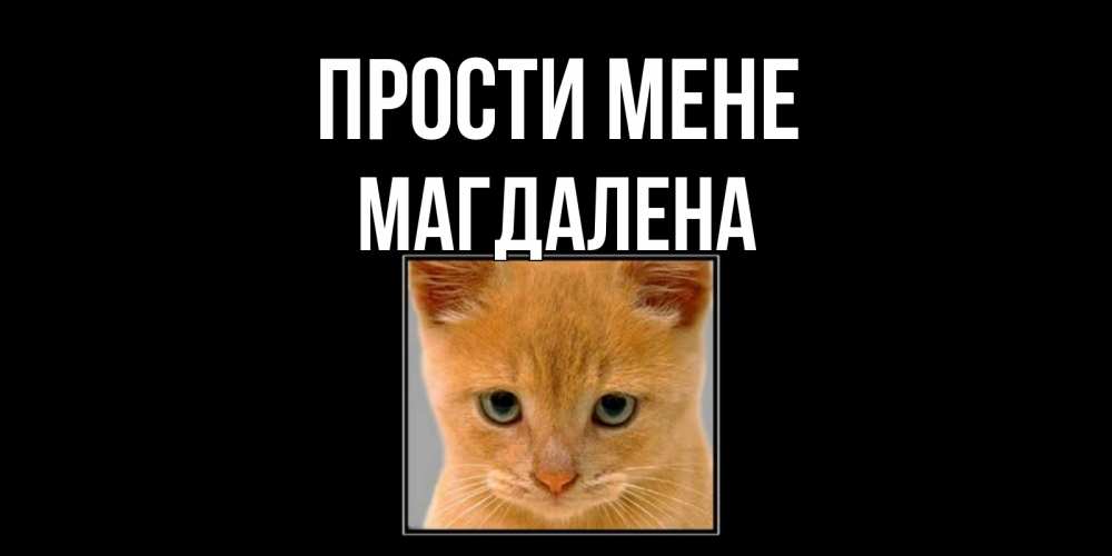 Открытка на каждый день з підписом, Магдалена Прости мене рыжий грустный кот просит прощения Прикольна листівка з побажанням онлайн скачати безкоштовно 
