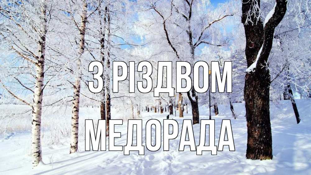 Открытка на каждый день з підписом, Медорада З Різдвом зимний лес Прикольна листівка з побажанням онлайн скачати безкоштовно 