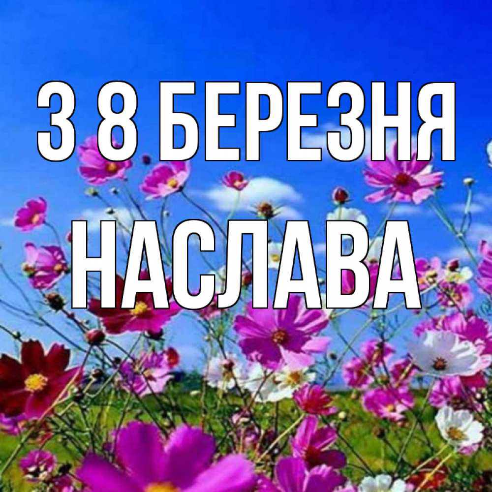 Открытка на каждый день з підписом, Наслава З 8 БЕРЕЗНЯ цветы Прикольна листівка з побажанням онлайн скачати безкоштовно 