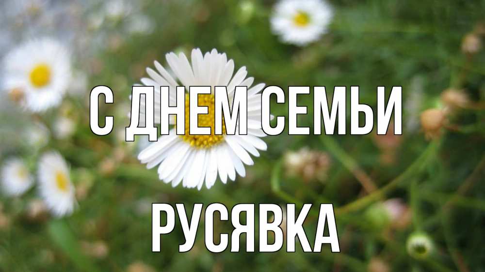 Открытка на каждый день з підписом, Русявка С днем семьи с днем семьи Прикольна листівка з побажанням онлайн скачати безкоштовно 
