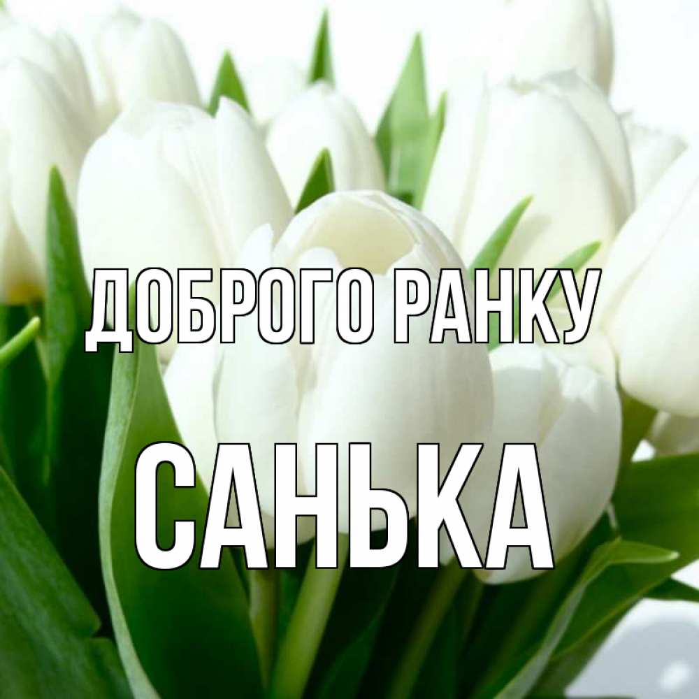 Открытка на каждый день з підписом, Санька Доброго ранку открытки на каждый день по именам Прикольна листівка з побажанням онлайн скачати безкоштовно 
