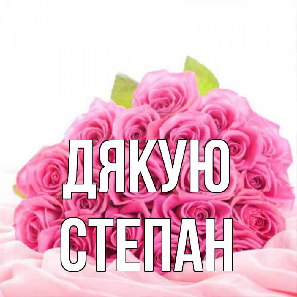 Открытка на каждый день з підписом, Степан Дякую розовые розы с подписью Прикольна листівка з побажанням онлайн скачати безкоштовно 