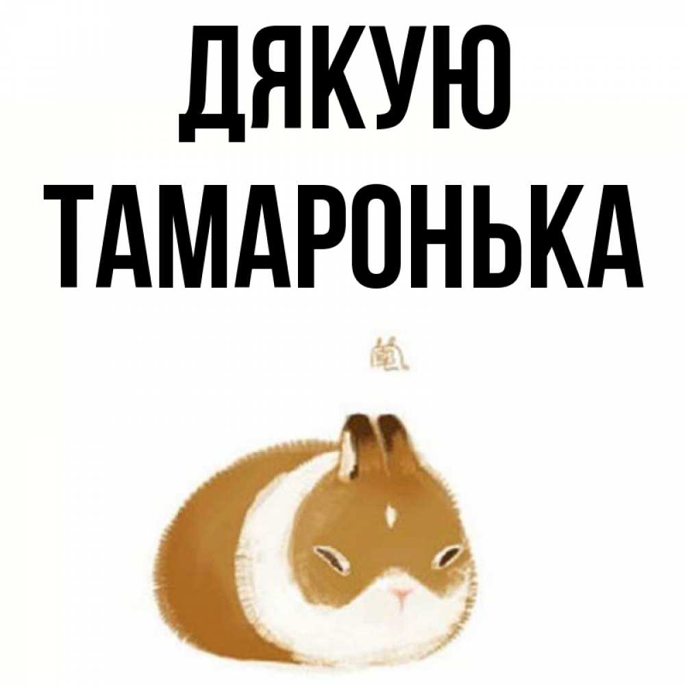 Открытка на каждый день з підписом, Тамаронька Дякую коричнево белый домашний питомец Прикольна листівка з побажанням онлайн скачати безкоштовно 