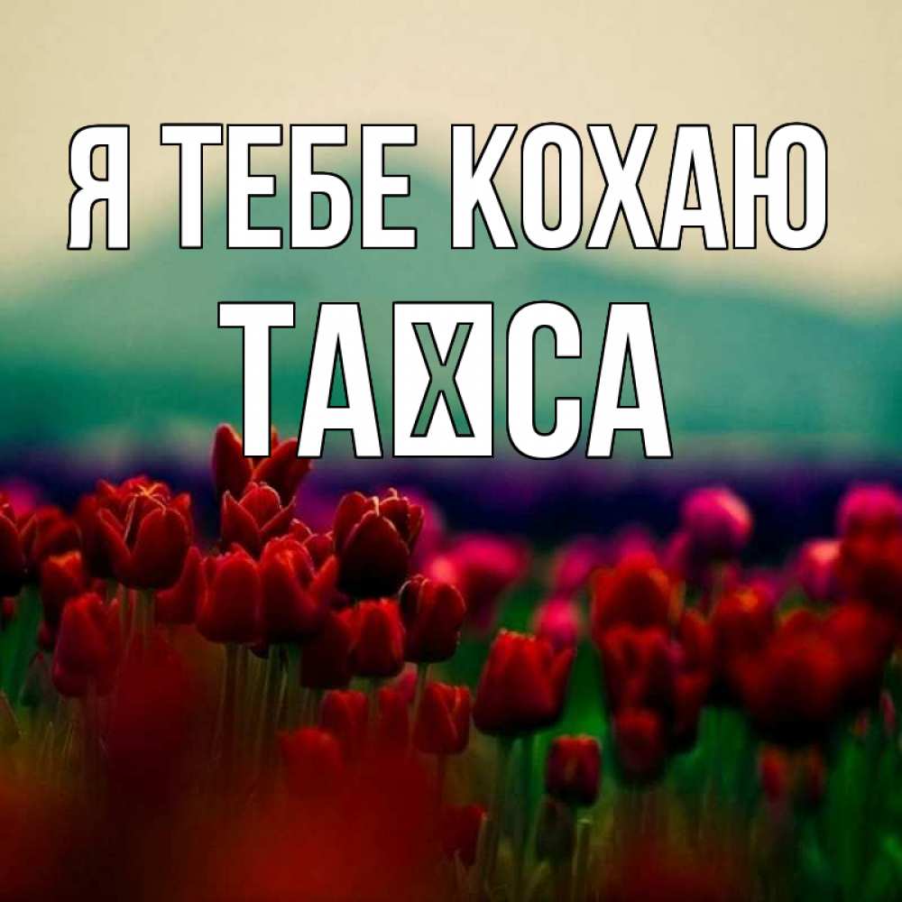 Открытка на каждый день з підписом, Таїса Я тебе кохаю тюльпаны 4 Прикольна листівка з побажанням онлайн скачати безкоштовно 