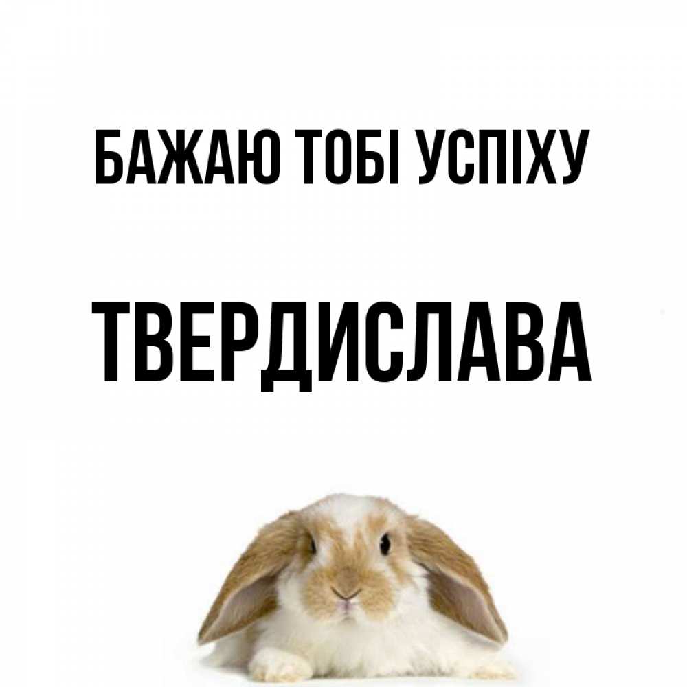 Открытка на каждый день з підписом, Твердислава Бажаю тобі успіху открытки с произвольным текстом который можно вставить в открытку и создать ее самостоятельно бесплатно онлайн Прикольна листівка з побажанням онлайн скачати безкоштовно 