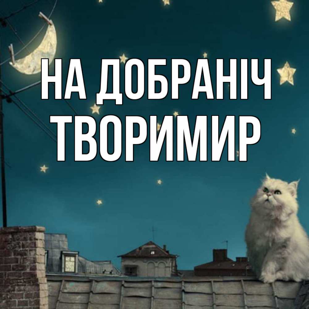 Открытка на каждый день з підписом, Творимир На добраніч белый кот сидит на крыше Прикольна листівка з побажанням онлайн скачати безкоштовно 