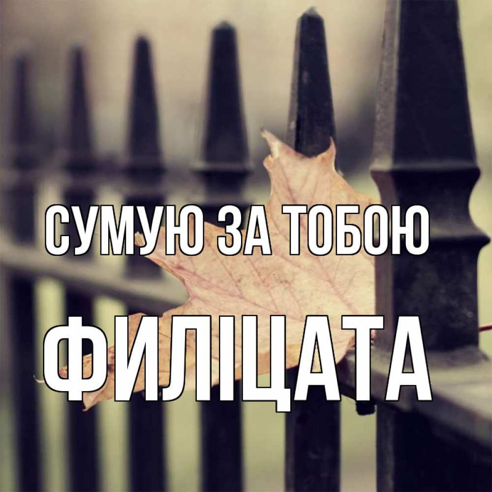 Открытка на каждый день з підписом, Филіцата Сумую за тобою очень скучно Прикольна листівка з побажанням онлайн скачати безкоштовно 