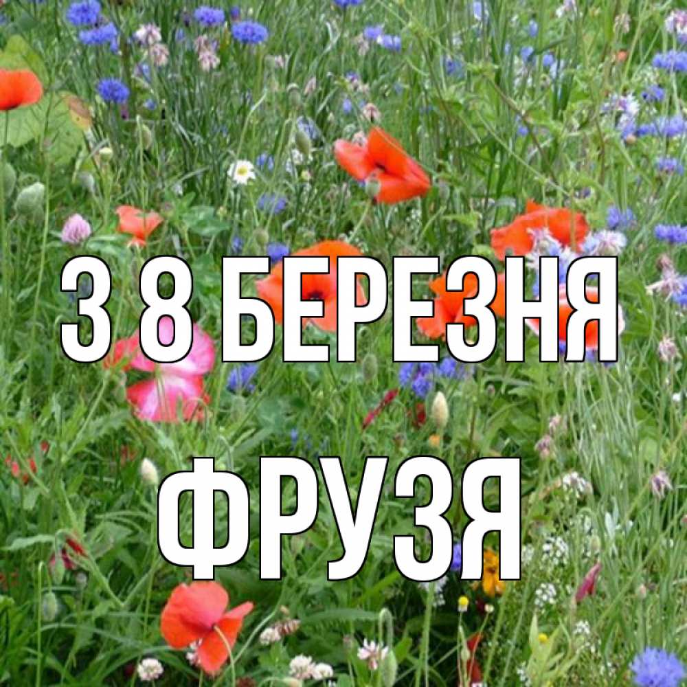 Открытка на каждый день з підписом, Фрузя З 8 БЕРЕЗНЯ международный женский день 4 Прикольна листівка з побажанням онлайн скачати безкоштовно 