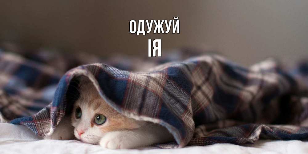 Открытка на каждый день з підписом, Ія Одужуй не болейте с котиком Прикольна листівка з побажанням онлайн скачати безкоштовно 