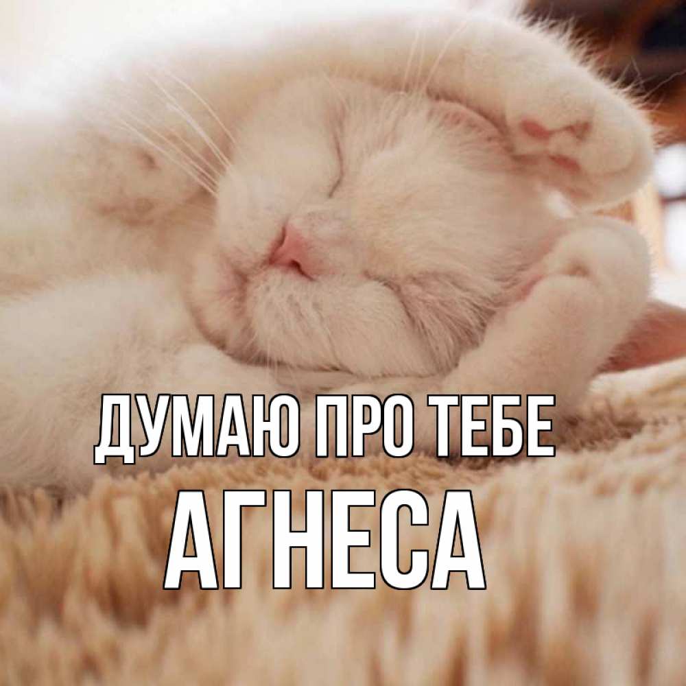Открытка на каждый день з підписом, Агнеса Думаю про тебе для любимой девушки милота Прикольна листівка з побажанням онлайн скачати безкоштовно 