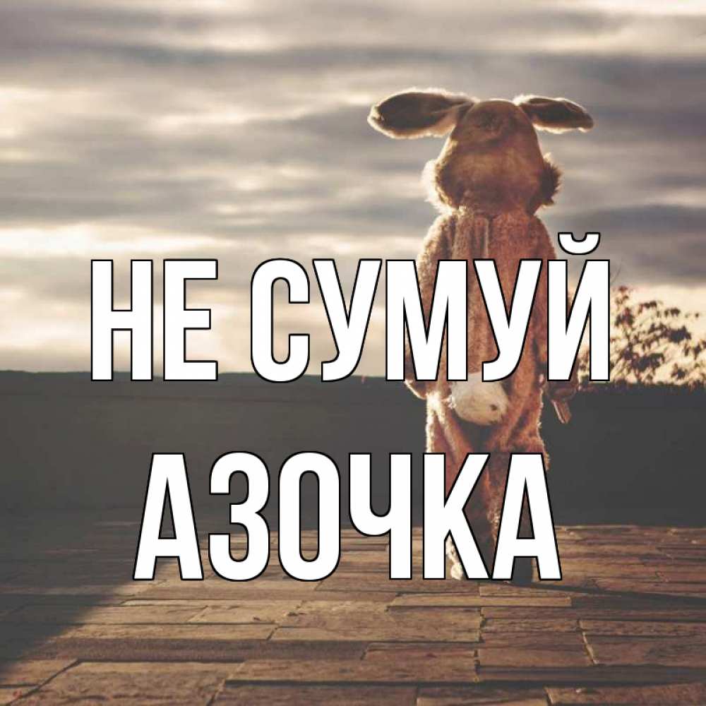 Открытка на каждый день з підписом, Азочка Не сумуй со спины Прикольна листівка з побажанням онлайн скачати безкоштовно 