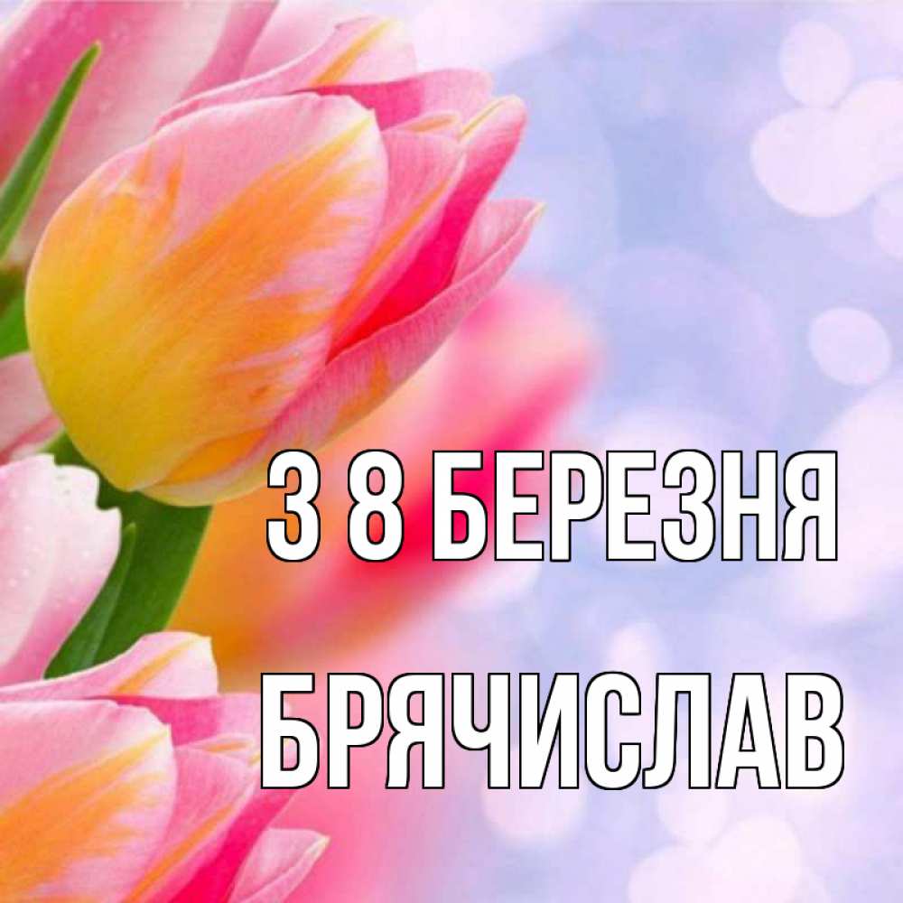 Открытка на каждый день з підписом, Брячислав З 8 БЕРЕЗНЯ тюльпаны 2 Прикольна листівка з побажанням онлайн скачати безкоштовно 