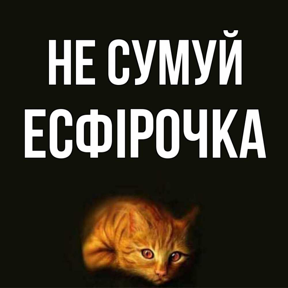 Открытка на каждый день з підписом, Есфірочка Не сумуй лежащий кот в темноте Прикольна листівка з побажанням онлайн скачати безкоштовно 