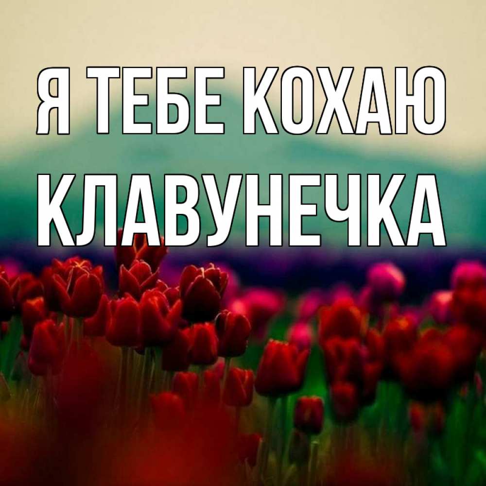 Открытка на каждый день з підписом, Клавунечка Я тебе кохаю тюльпаны 4 Прикольна листівка з побажанням онлайн скачати безкоштовно 