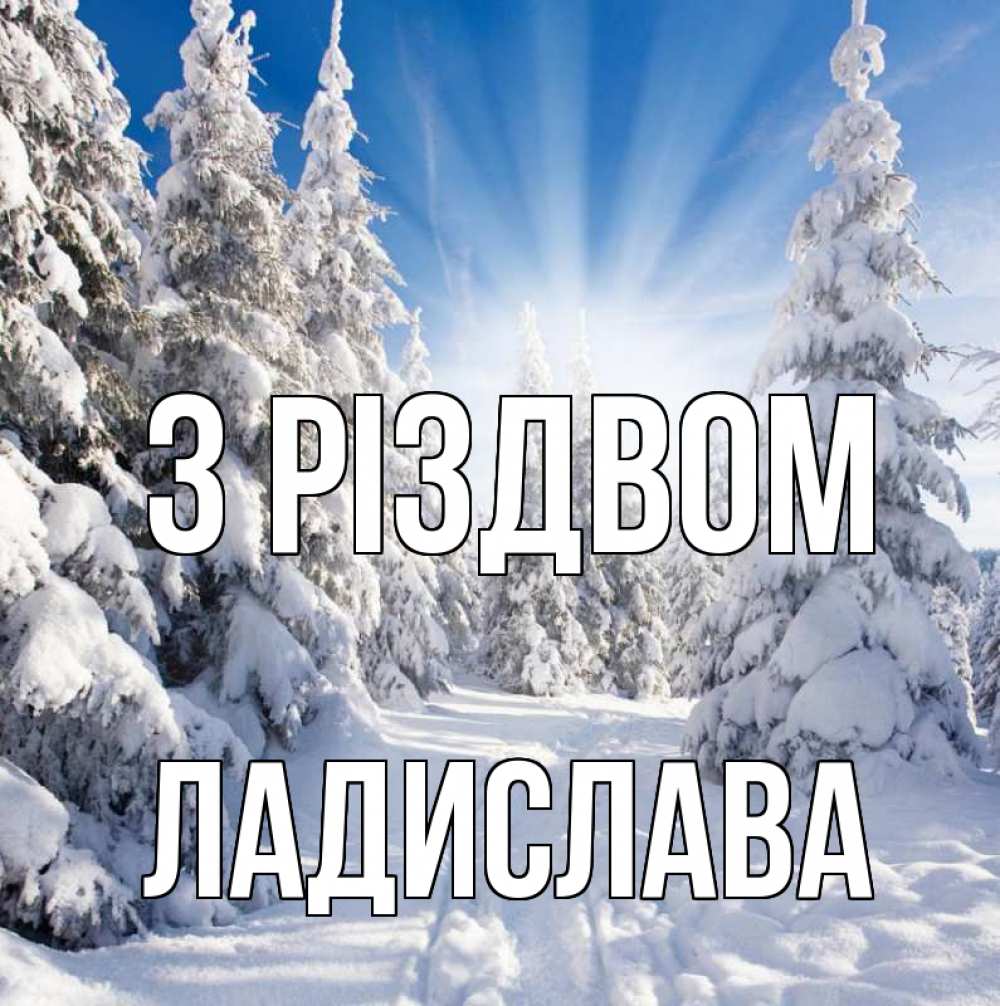Открытка на каждый день з підписом, Ладислава З Різдвом зима, лес Прикольна листівка з побажанням онлайн скачати безкоштовно 