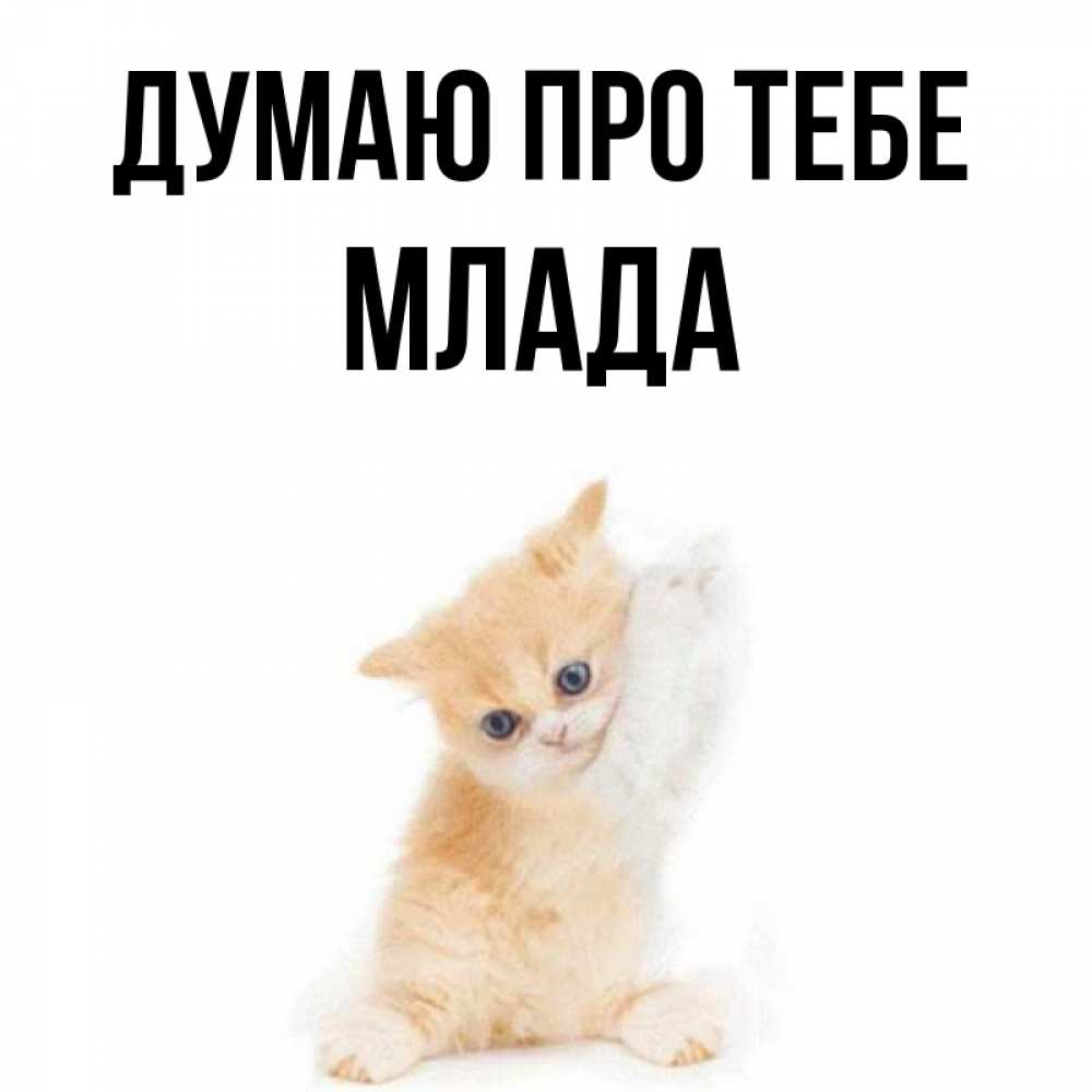 Открытка на каждый день з підписом, Млада Думаю про тебе зверушки и милота Прикольна листівка з побажанням онлайн скачати безкоштовно 