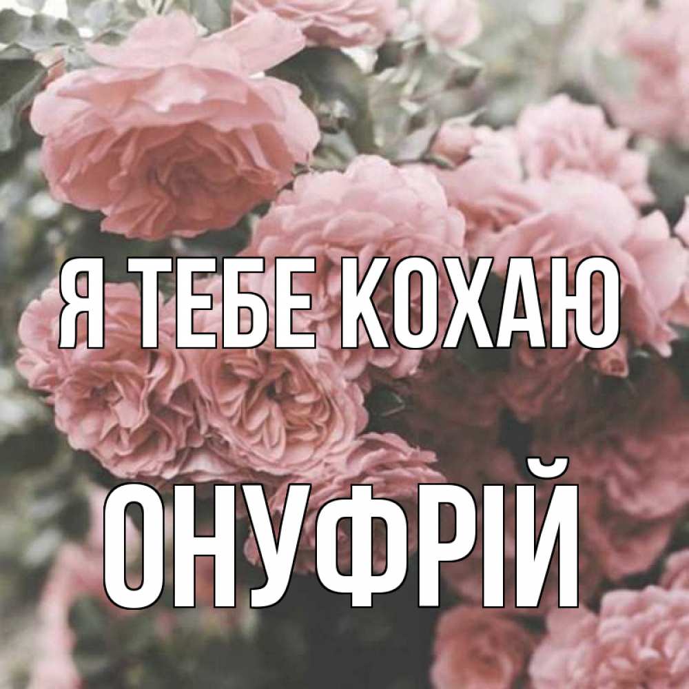 Открытка на каждый день з підписом, Онуфрій Я тебе кохаю розы 3 Прикольна листівка з побажанням онлайн скачати безкоштовно 