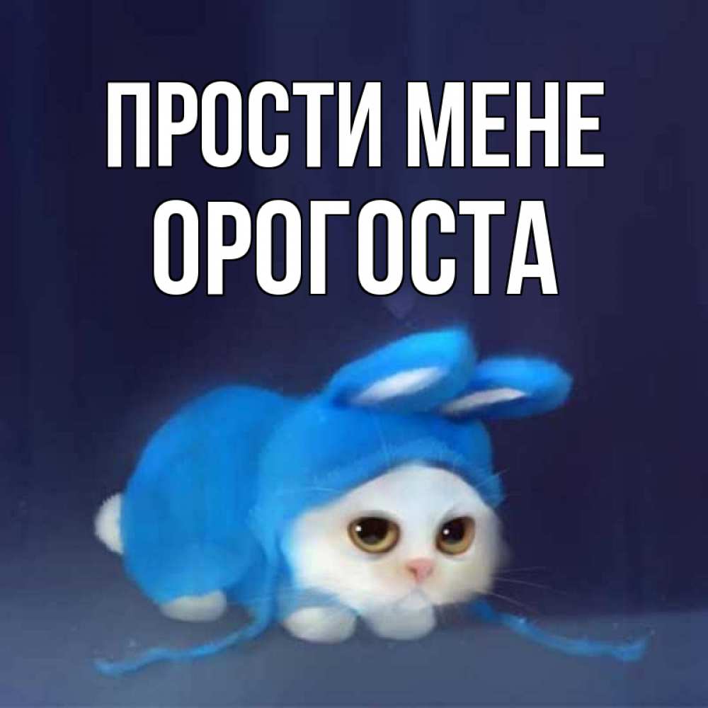 Открытка на каждый день з підписом, Орогоста Прости мене невинный котозай просит прощения Прикольна листівка з побажанням онлайн скачати безкоштовно 