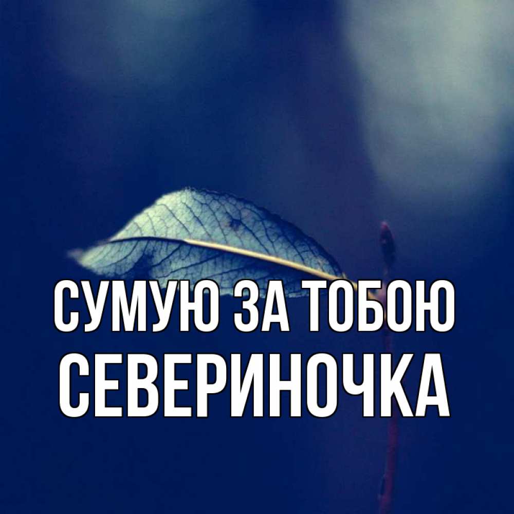 Открытка на каждый день з підписом, Севериночка Сумую за тобою одна ветка 1 Прикольна листівка з побажанням онлайн скачати безкоштовно 