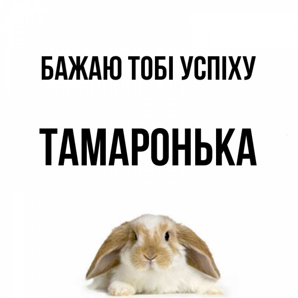 Открытка на каждый день з підписом, Тамаронька Бажаю тобі успіху открытки с произвольным текстом который можно вставить в открытку и создать ее самостоятельно бесплатно онлайн Прикольна листівка з побажанням онлайн скачати безкоштовно 