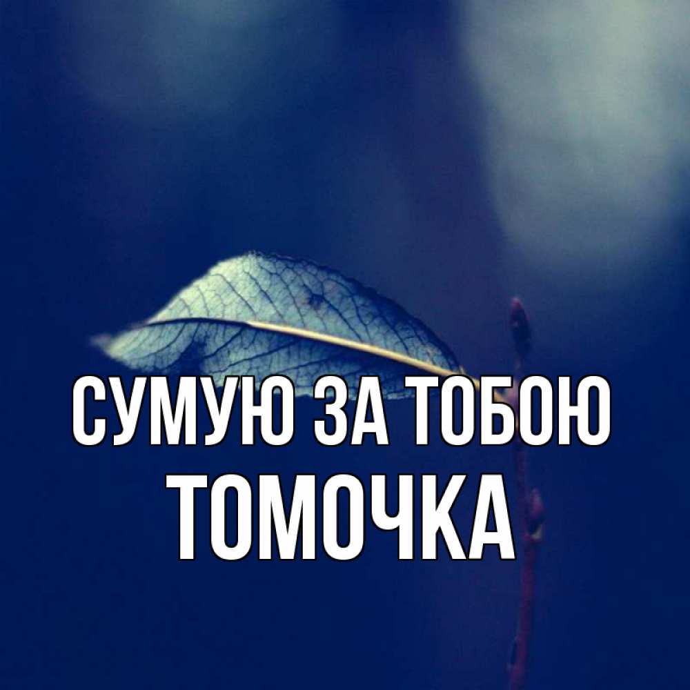 Открытка на каждый день з підписом, Томочка Сумую за тобою одна ветка 1 Прикольна листівка з побажанням онлайн скачати безкоштовно 