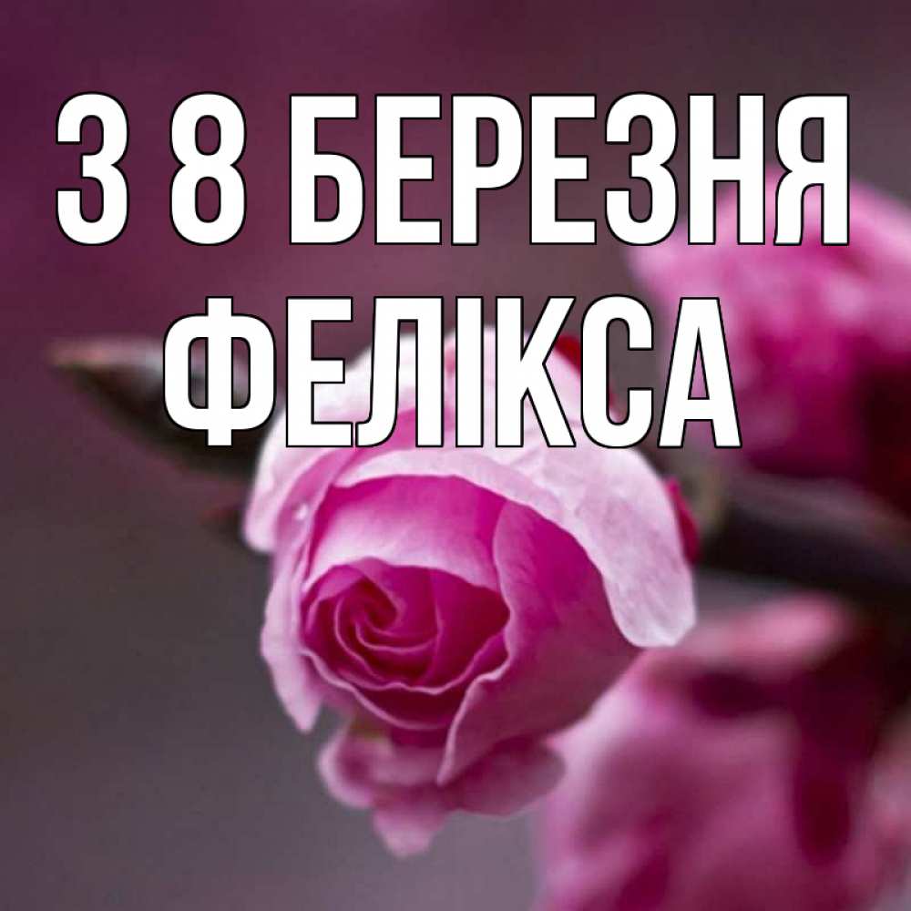 Открытка на каждый день з підписом, Фелікса З 8 БЕРЕЗНЯ весна Прикольна листівка з побажанням онлайн скачати безкоштовно 