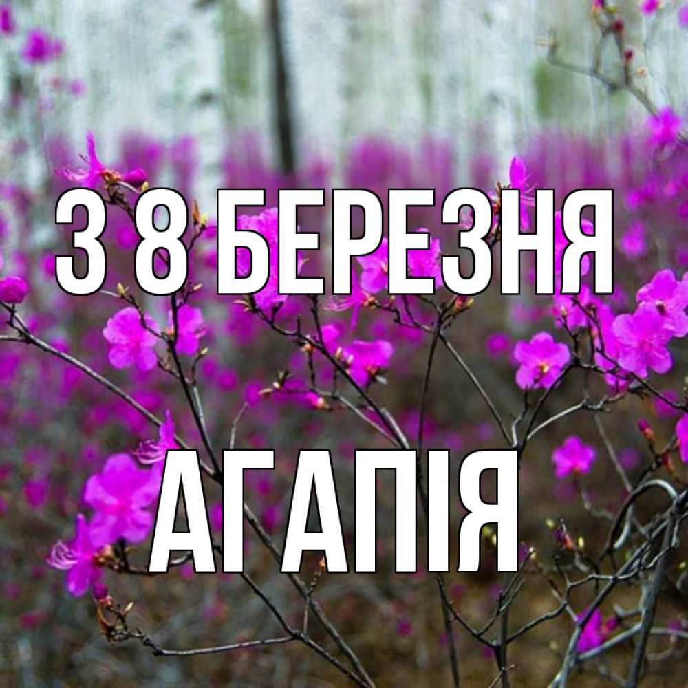 Открытка на каждый день з підписом, Агапія З 8 БЕРЕЗНЯ дикие цветы Прикольна листівка з побажанням онлайн скачати безкоштовно 