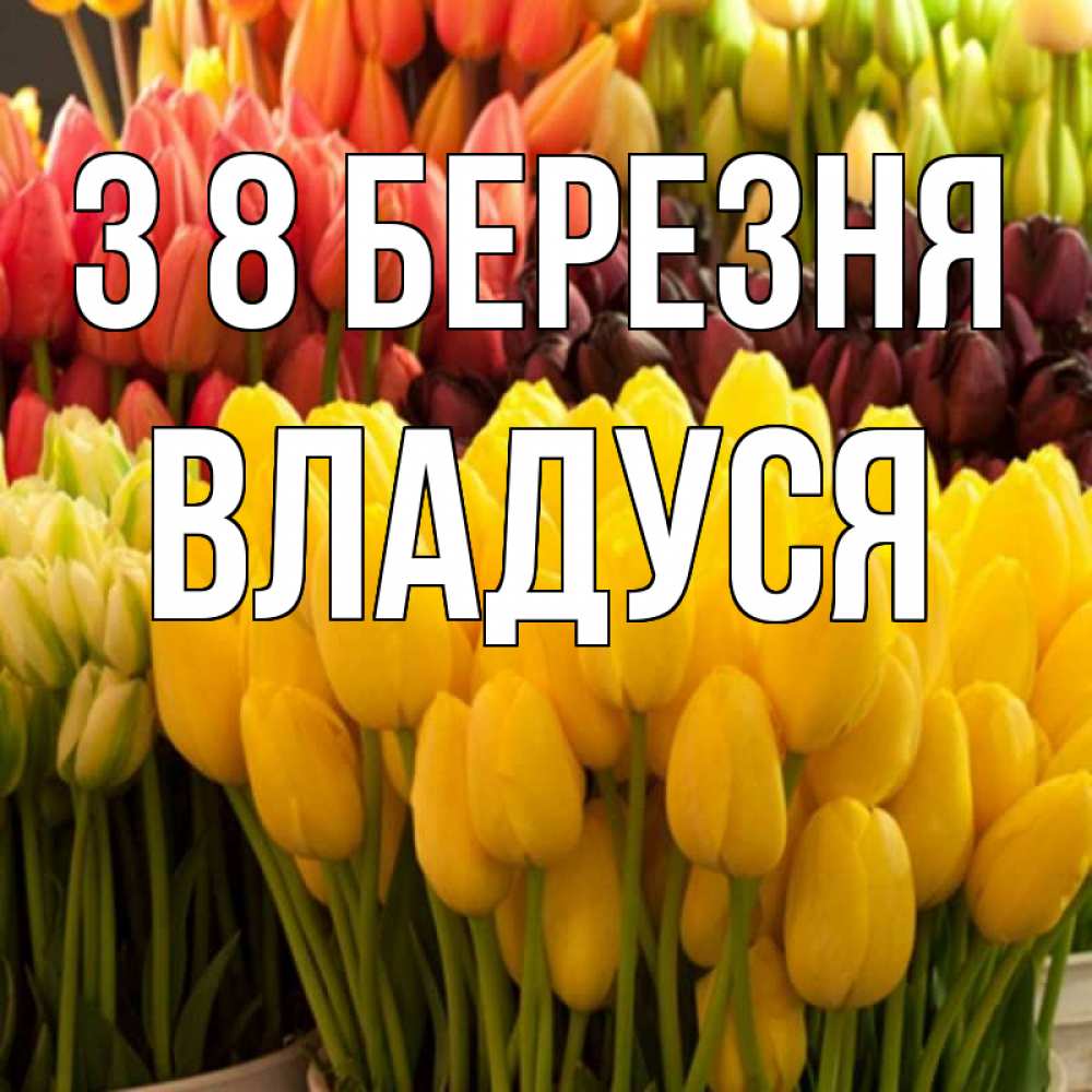 Открытка на каждый день з підписом, Владуся З 8 БЕРЕЗНЯ цветы Прикольна листівка з побажанням онлайн скачати безкоштовно 