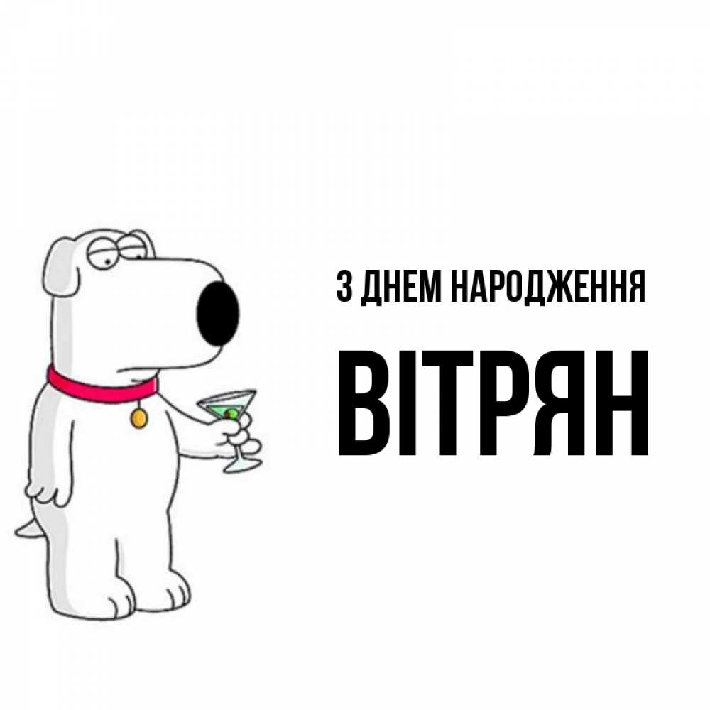 Открытка на каждый день з підписом, Вітрян З Днем народження песик с оливками Прикольна листівка з побажанням онлайн скачати безкоштовно 