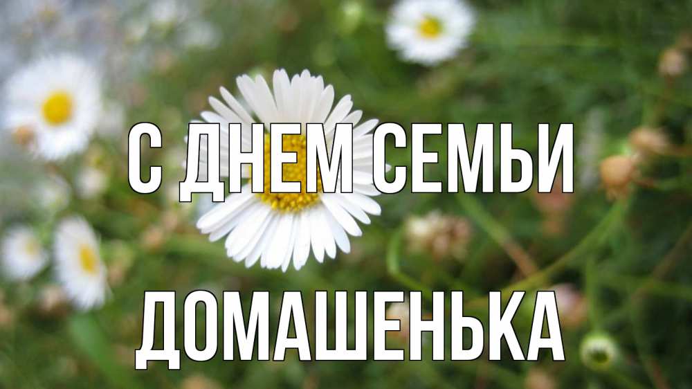 Открытка на каждый день з підписом, Домашенька С днем семьи с днем семьи Прикольна листівка з побажанням онлайн скачати безкоштовно 