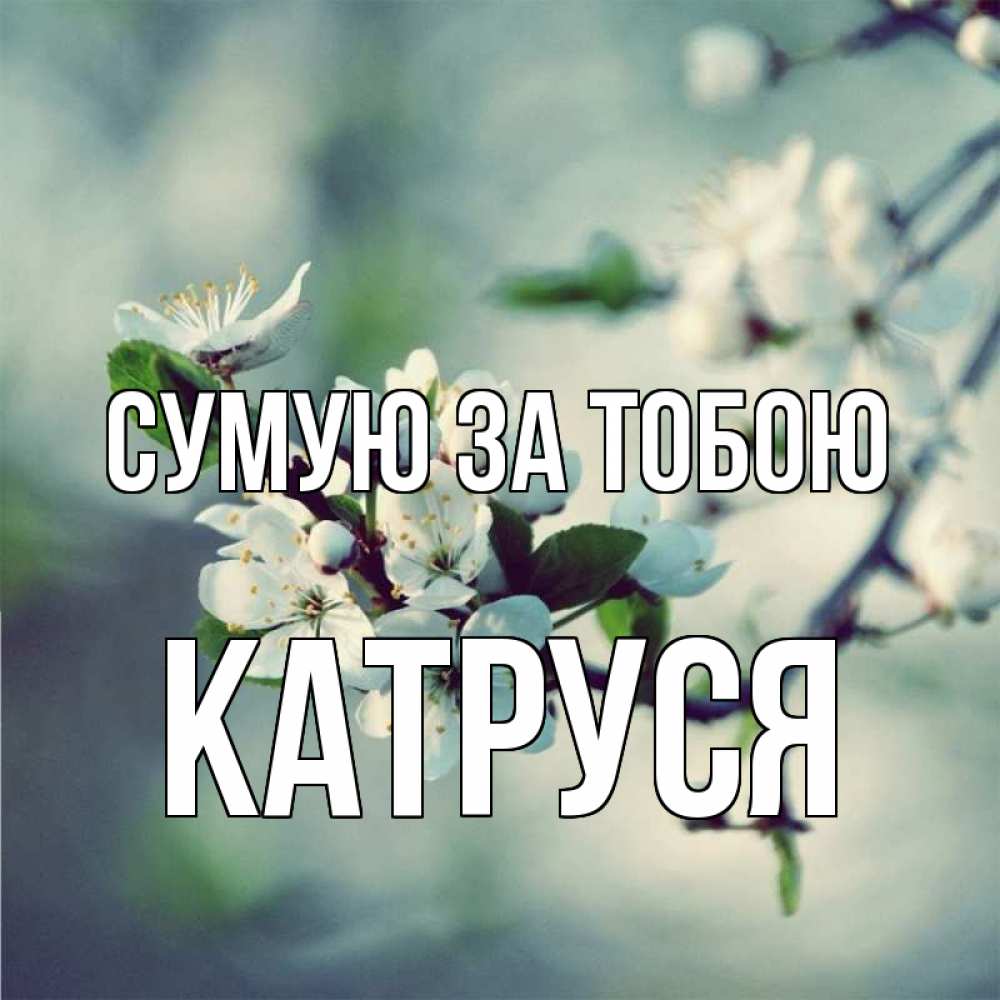 Открытка на каждый день з підписом, Катруся Сумую за тобою весна Прикольна листівка з побажанням онлайн скачати безкоштовно 