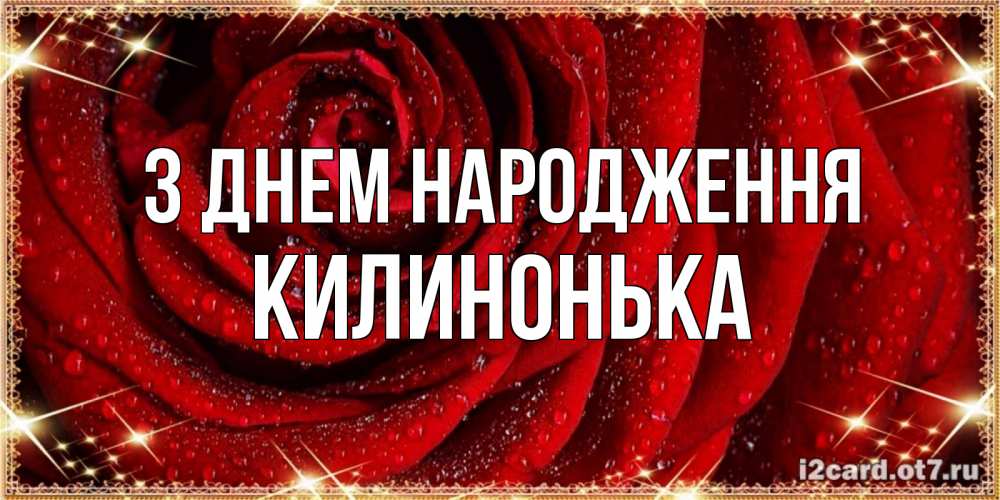 Открытка на каждый день з підписом, Килинонька З Днем народження роса на розе блестящая в лучах солнца Прикольна листівка з побажанням онлайн скачати безкоштовно 
