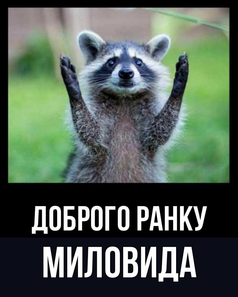 Открытка на каждый день з підписом, Миловида Доброго ранку хорошее настроение утречком Прикольна листівка з побажанням онлайн скачати безкоштовно 