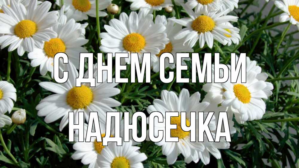 Открытка на каждый день з підписом, Надюсечка С днем семьи с днем семьи Прикольна листівка з побажанням онлайн скачати безкоштовно 