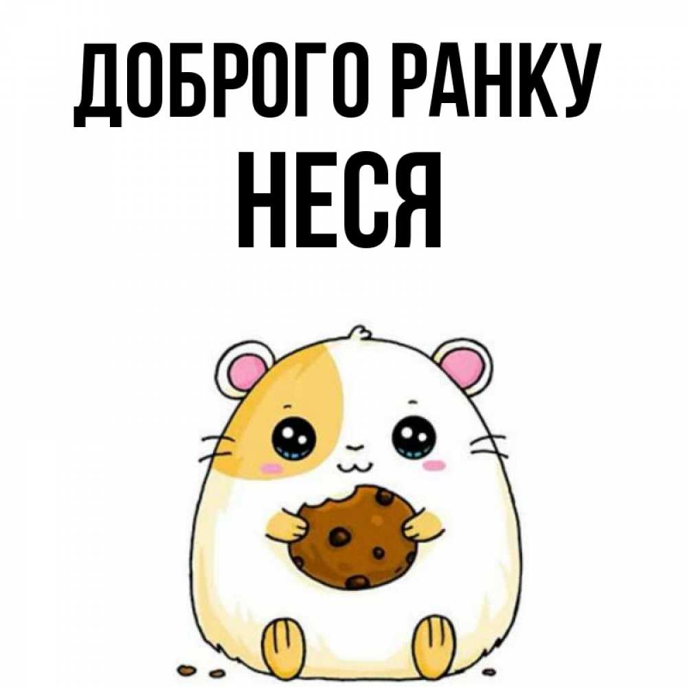 Открытка на каждый день з підписом, Неся Доброго ранку есть печеньку. Утречко Прикольна листівка з побажанням онлайн скачати безкоштовно 